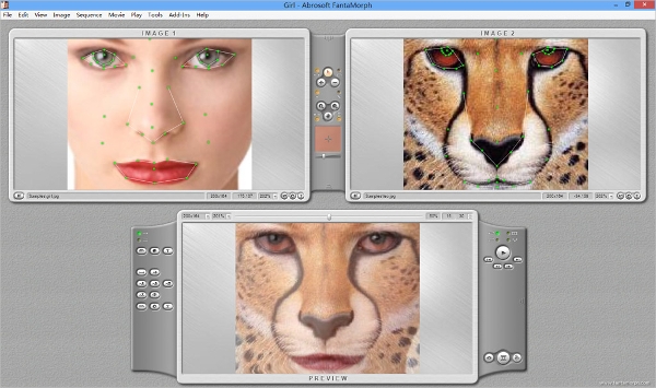 Video morphing software